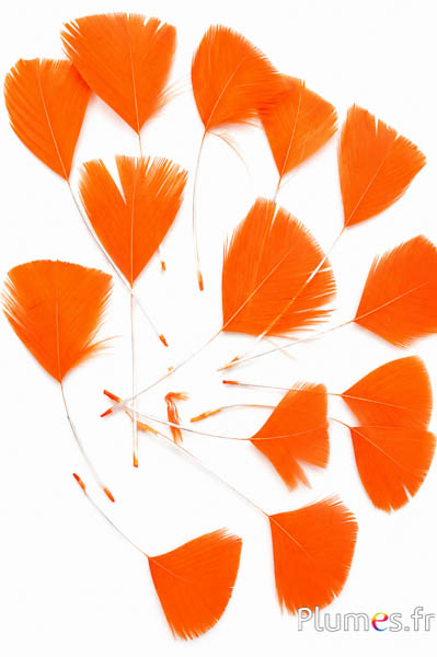 Blütenblätter aus Federn - 6-8 cm x 3-4 cm - orange